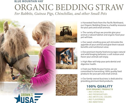 Blue Mountain Hay | Organic Bedding Straw (10 lb) | Natural Pet Bedding &amp; Insulation for Rabbits, Guinea Pigs, Goats, Chickens, Stray &amp; Feral Cats, and Small Animal Shelters