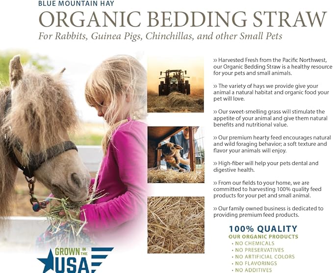 Blue Mountain Hay | Organic Bedding Straw (25 lb) | Natural Pet Bedding &amp; Insulation for Rabbits, Guinea Pigs, Goats, Chickens, Stray &amp; Feral Cats, and Small Animal Shelters