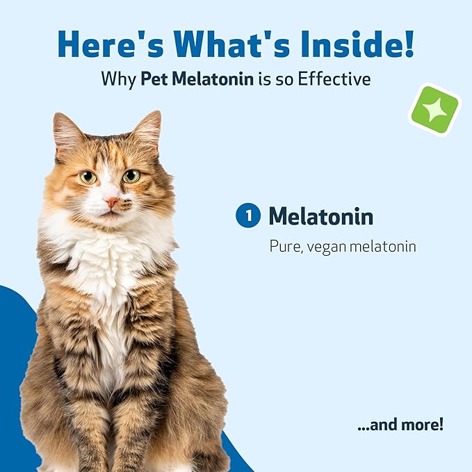 Pet Wellbeing Pet Melatonin for Cats - Supports Adrenal &amp; Thyroid Health, Cortisol Balance, Helps Maintain Normal Sleep Patterns - Veterinarian-Formulated Liquid Supplement 2 fl oz (59 ml)