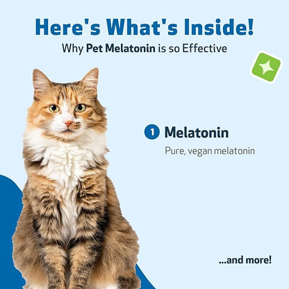 Pet Wellbeing Pet Melatonin for Cats - Supports Adrenal &amp; Thyroid Health, Cortisol Balance, Helps Maintain Normal Sleep Patterns - Veterinarian-Formulated Liquid Supplement 2 fl oz (59 ml)