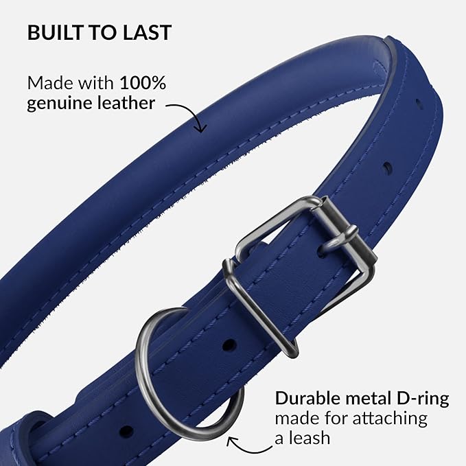 CollarDirect Rolled Leather Dog Collar, Soft Padded Round Puppy Collar, Handmade Genuine Leather Collar Dog Small Large Cat Collars 13 Colors (11-14 Inch, Deep Blue Smooth)