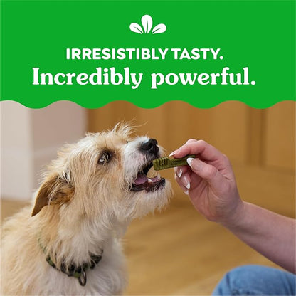 Greenies Original Teenie Dental Dog Treats, (4) 65 ct Packs (260 Treats)
