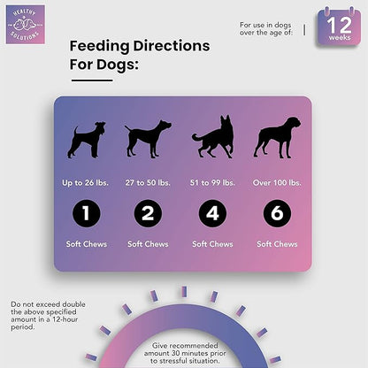 Calming Chews for Dogs - Dog Calming Treats for Anxiety &amp; Stress Relief with Melatonin and Ginger - Aid with Storms, Grooming, Fireworks, Separation, Travel, Motion Sickness, &amp; Sleep - 60 Soft Chews