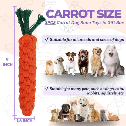 3PCS Orange Woven Pet Chew Set, Puppy Teething Chews, Dog Chew Treats, Cat Teething Playset, Safe Braided Chews for Pets, Durable &amp; Interactive