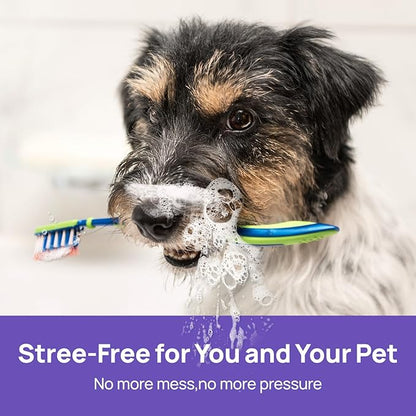 HICC PET Dog Dental Care Spray, Vet-Recommended Dog Breath Freshener, Soothing Bad Breath Caused by Plaque and Red Gums for Dogs &amp; Cats, Dog Gingivitis Treatment and Prevent Oral Infections, 5.1 Fl Oz
