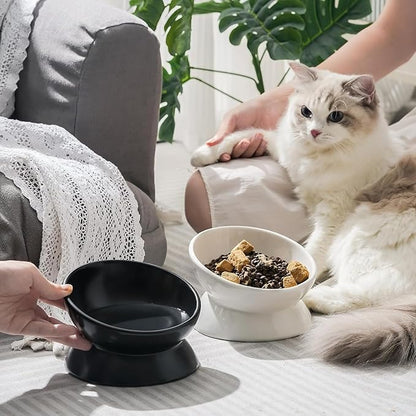 YINGFAN Elevated Cat Bowls, 5oz Ceramic Raised Cat Bowl for Cats/Kittens with Tilted Design, Porcelain Cats Feeding Dishes for Food/Water, Anti Vomit, Microwave &amp; Dishwasher Safe (Light White)