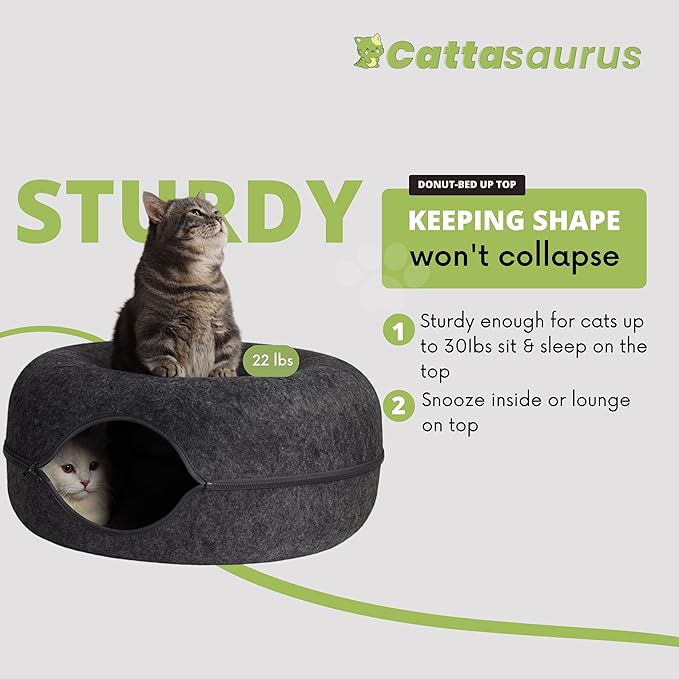 CATTASAURUS Peekaboo Cat Cave for Multiple &amp; Large Cats Up to 30-45 Lbs, Scratch Detachable &amp; Washable Tunnel Bed, Comfy Donut Cat Cave (Dark Gray, Large)