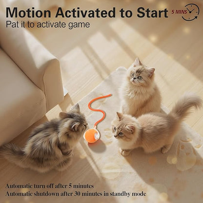 Interactive Cat Toys Ball for Indoor Cats, Automatic Agile Rolling Cat Ball with Elastic Mesh Tail, Bird Chirping &amp; Motion Activated, 2 Tail Accessories, Kitten Toy for Bored (Orange)