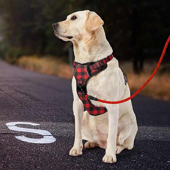 IVY&amp;LANE No Pull Dog Harness with Leash Set, Reflective No Choke Pet Vest,Adjustable Oxford Dog Vest Harness with Easy Control Handle for Large Dogs (Checkered Red,L)