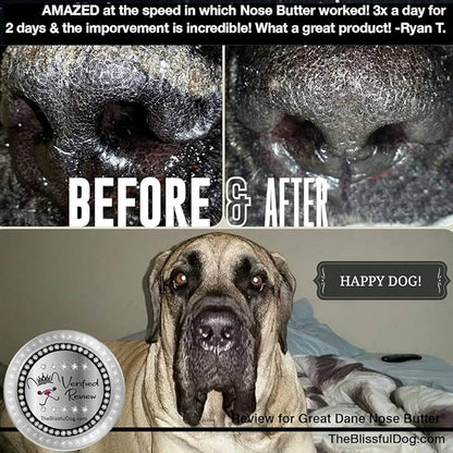 The Blissful Dog French Great Dane Nose Butter for Dry, Cracked Skin, Lick-Safe Dog Nose Balm with Moisturizing Shea Butter, Almond, Olive, and Essential Oils, Pet Supplies, Uncented, 0.50 oz.