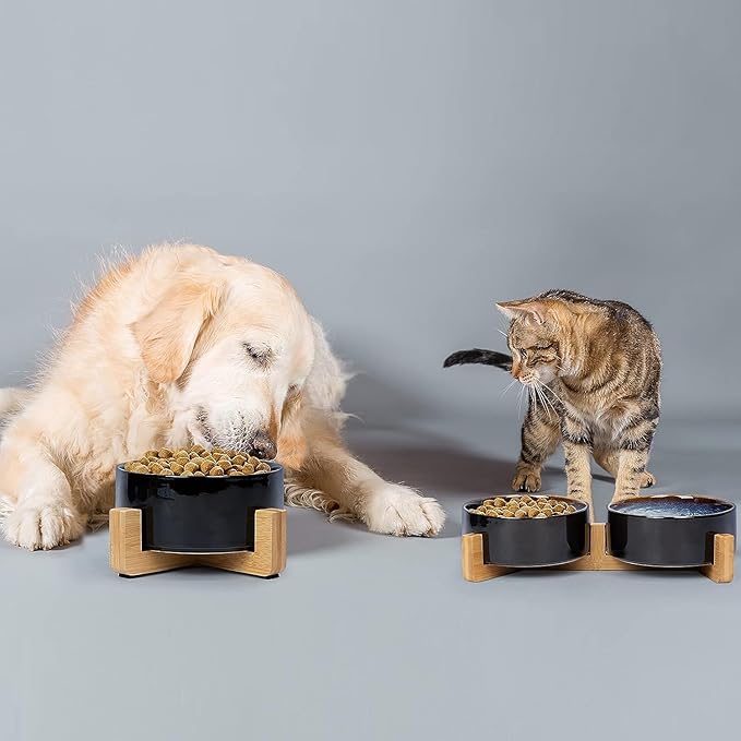 SPUNKYJUNKY Ceramic Dog and Cat Bowl Set with Wooden Stand, Modern Cute Weighted Food Water Set for Small Size Dogs (13.5OZ) &amp; Medium Sized Dogs (28.7OZ) &amp; Cats (3.6 Cups, 2 × Starry Blue)