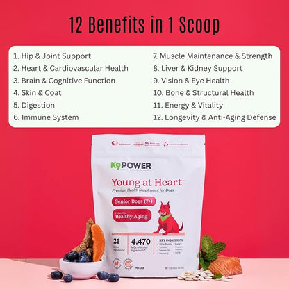K9 Power Young at Heart Senior Dog Multivitamin 1 lb – Advanced Supplement for Seniors – Supports Brain, Heart, Vision, Joint Health, and Mobility