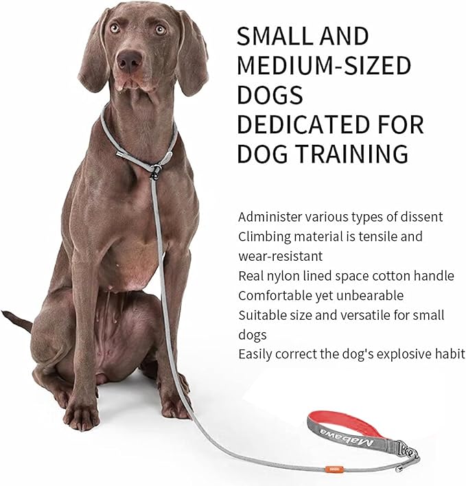 Dog Anti-Slip Leash 5FT with Metal Stopper - Durable No-Pull Training Lead for Small, Medium &amp; Large Dogs - Comfortable Handle Nylon Rope, Tangle-Free Pet Walking Leash (Gray, 5 FT)
