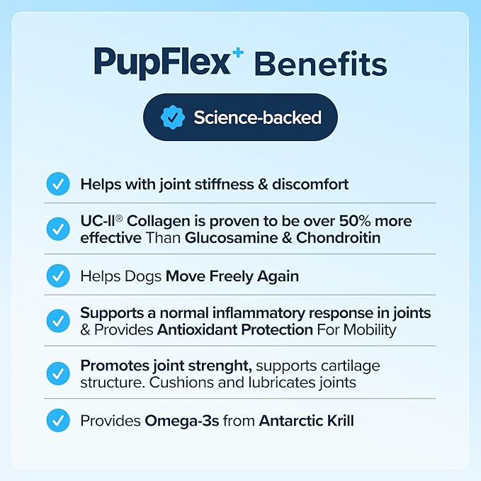 PupFlex+ Hip and Joint Supplement Dogs, Vet Created Soft Chews with UC-II® Collagen for Dogs, CurcuVET® &amp; Omega 3, Proven More Effective Than Glucosamine Chondroitin, Dog Joint Supplement (60 ct)