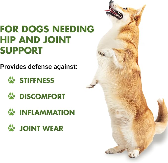 by Cool PET Holistics LVDJW-PR-04PK-16U Hip &amp; Joint Dog Joint Supplement, 16 oz