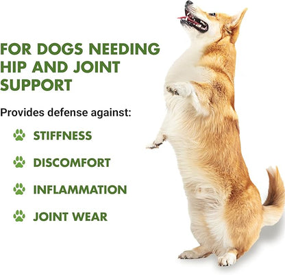 by Cool PET Holistics LVDJW-PR-04PK-16U Hip &amp; Joint Dog Joint Supplement, 16 oz