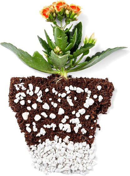 Perlite Bliss (24 Qts) - Organic Perlite for Plants - Coarse Perlite Bulk Soil Amendment - Chunky Perlite for Plants, Potting Soil, Garden Soil, &amp; Coco Coir - Horticultural Perlite for Gardening