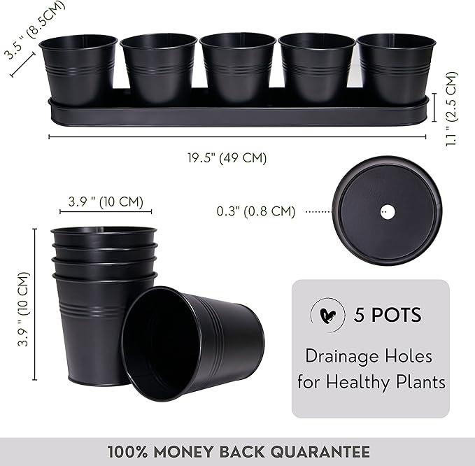 SCANDINORDICA Black Herb Planter – 5 Pots with Drainage Holes and Tray, Windowsill Planter, Herb Pots for Indoor Outdoor Plants | Kitchen &amp; Garden Decor