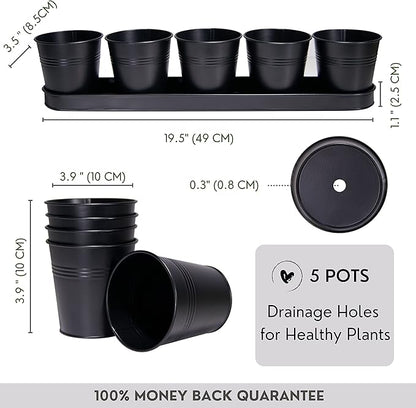 SCANDINORDICA Black Herb Planter – 5 Pots with Drainage Holes and Tray, Windowsill Planter, Herb Pots for Indoor Outdoor Plants | Kitchen &amp; Garden Decor