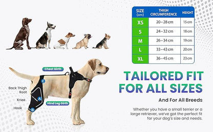 Dog ACL Knee Brace for Back Left Leg - with Integrated Harness - for Cruciate Ligament Injuries, Patellar Luxation, Post-Surgery Recovery. Durable, Breathable Material, Eases Pain - (Small)
