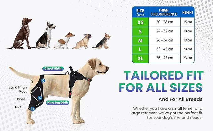 Comfortable Dog Knee Brace for Both Hind Legs with Harness - for ACL Tear, Luxating Patellae, Osteoarthritis &amp; Instability - for Recovery &amp; Injury Prevention in Active/Aging Dogs - (XLarge)