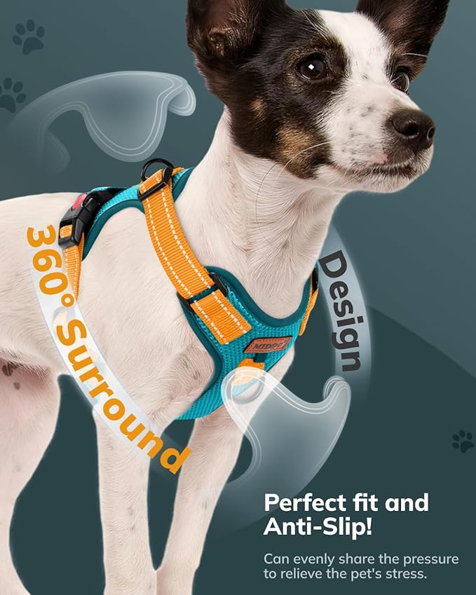 MIDOG No-Pull Dog Harness | Adjustable &amp; Reflective Pet Harness Leash Set for Small Medium Large Dogs Walking, Training| No Choke, Front Clip, Soft Padded Vest with Easy Control Handle - Blue, S