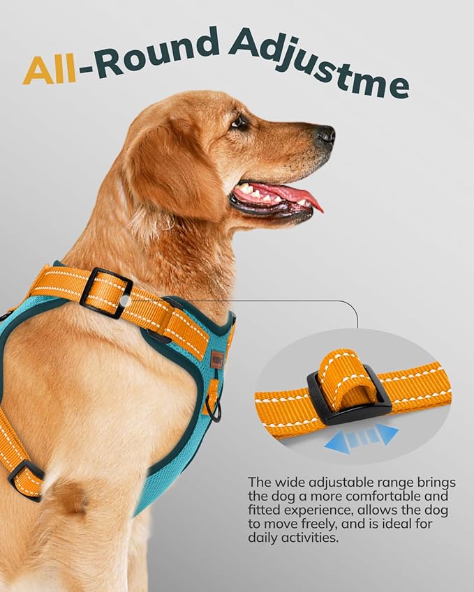 MIDOG No-Pull Dog Harness | Adjustable &amp; Reflective Pet Harness Leash Set for Small Medium Large Dogs Walking, Training| No Choke, Front Clip, Soft Padded Vest with Easy Control Handle - Blue, M