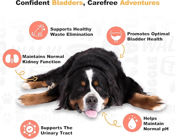 Doggie Dailies Cranberry Supplement for Dogs - Urinary Tract, Bladder &amp; Kidney Support for Dogs - Cranberry for dogs with Marshmallow Root, Licorice Root &amp; Apple Cider Vinegar (Chicken) 225 Soft Chews