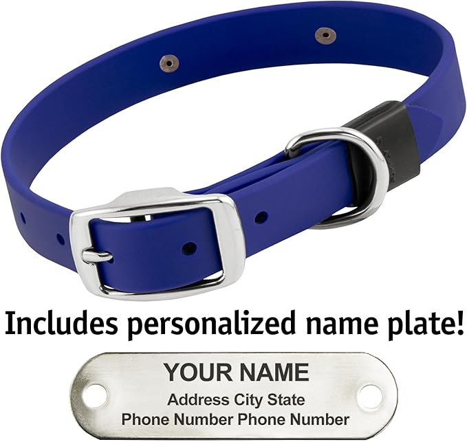Biothane Custom Dog Collar – Waterproof, Stink-Proof Personalized Collar with Name &amp; Phone Number – Durable, Many Sizes and Colors – Assembled in USA (Royal Blue)