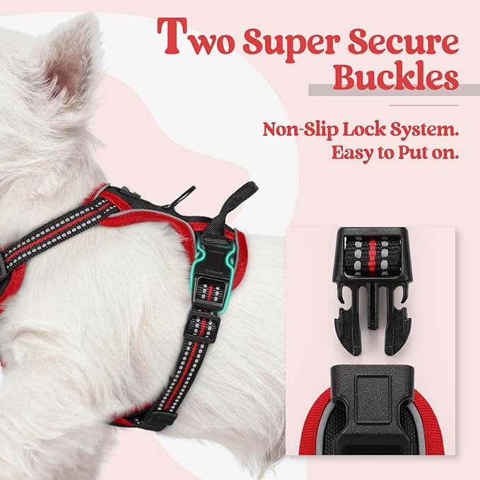 rabbitgoo Dog Harness No Pull with 2 Leash Clips, Adjustable Soft Padded, Reflective Oxford No Choke Pet Vest with Easy Control Handle for Puppy, Black &amp; Red, XS