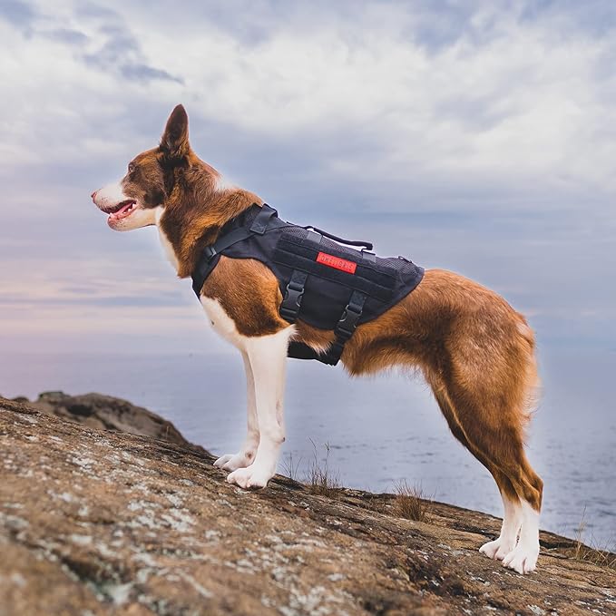 OneTigris No Pull Tactical Dog Harness for Medium Large Dogs, Mesh Design Breathable Military Dogs Molle Vests with Handles, Service Dog Vest Harness for Walking Hiking Training (XL, Black)