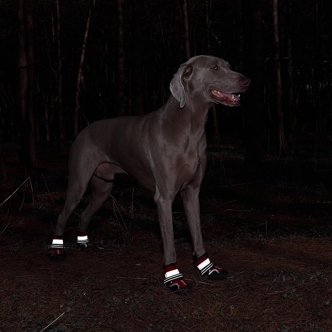 Dog Shoes, Waterproof Dog Boots &amp; Paw Protectors with Anti-Slip Sole, 4pcs/Set Pet Dog Booties, Reflective Dog Shoes for Small Medium Large, Winter Snowy Summer Hot Pavement (Red, 7