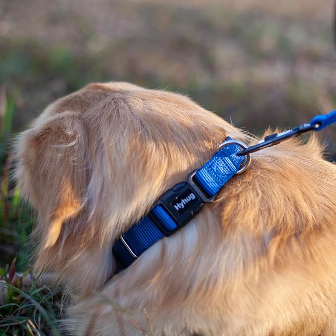 Hyhug Small Dog Collar Quick-Release Blue| Heavy-Duty Nylon Puppy Collar, Adjustable &amp; Durable Pet Supplies for Boy &amp; Girl Dogs (Small, Classic Blue)
