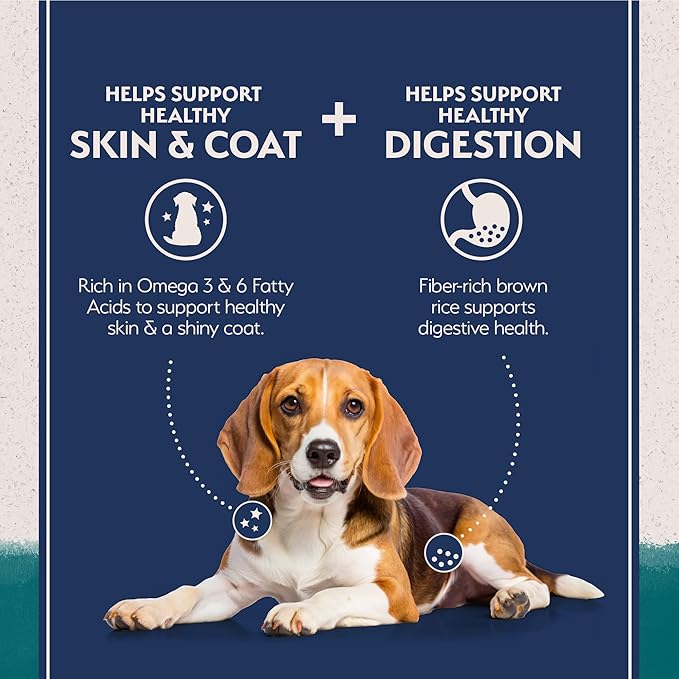 Natural Balance Limited Ingredient Adult Dry Dog Food with Healthy Grains, Chicken &amp; Brown Rice Recipe, 12 Pound (Pack of 1)