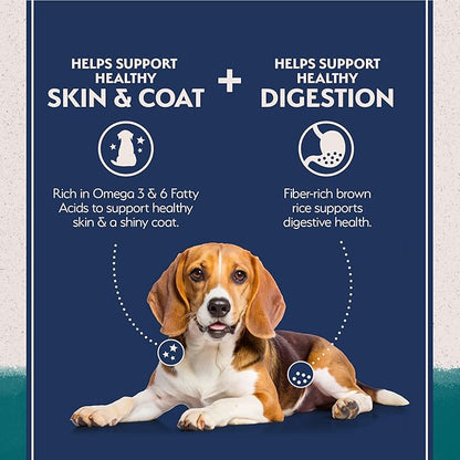 Natural Balance Limited Ingredient Adult Dry Dog Food with Healthy Grains, Chicken &amp; Brown Rice Recipe, 4 Pound (Pack of 1)