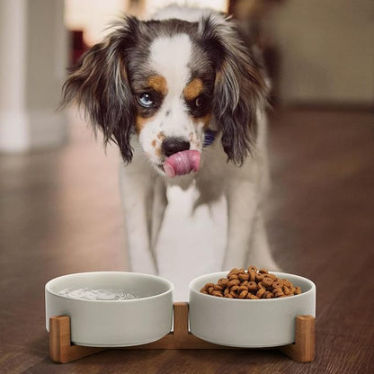 SPUNKYJUNKY Ceramic Dog and Cat Bowl with Wood Stand Non-Slip Matte Glaze Weighted Food Water Set for Cats &amp;Small Dogs 13.5OZ