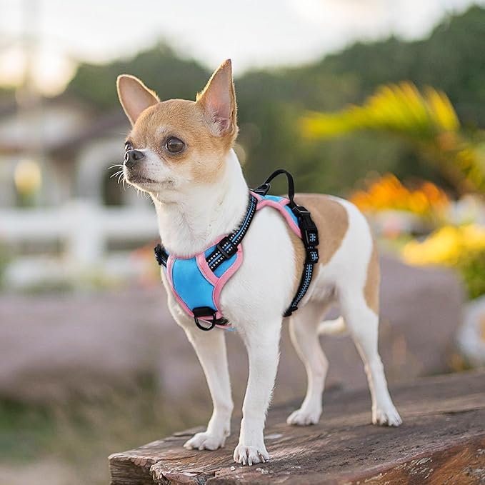 Eagloo Small Dog Harness No Pull, Service Vest with Reflective Strips and Control Handle, Adjustable and Comfortable for Walking, No Choke Pet Harness with 2 Metal Rings, Pink &amp; Blue, XS