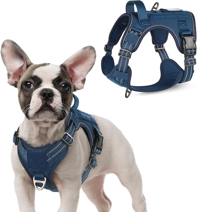 rabbitgoo Tactical Dog Harness for Small Dogs, No Pull Military Service Vest with Handle &amp; Molle, Easy Control for Training Walking, Adjustable Reflective Straps, Blue, S