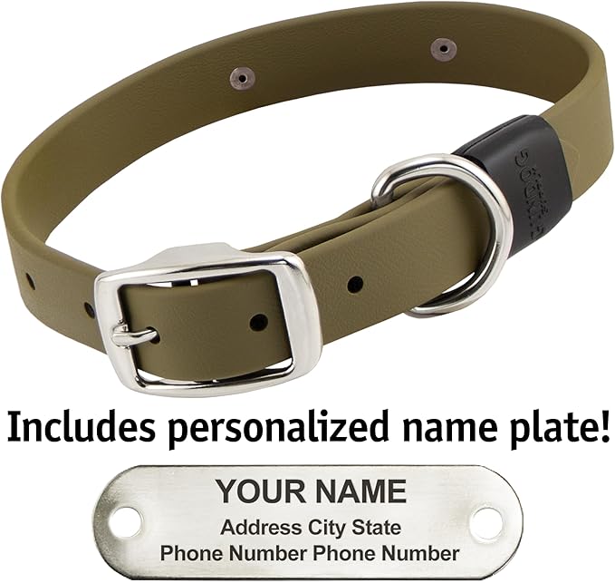 Biothane Custom Dog Collar – Waterproof, Stink-Proof Personalized Collar with Name &amp; Phone Number – Durable, Many Sizes and Colors – Assembled in USA (Olive Green)