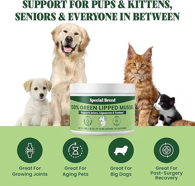Special Breed Green Lipped Mussel Powder for Dogs &amp; Cats - 100% New Zealand Green Lipped Mussels - Natural Hip &amp; Joint Supplement for Joints, Tendons, Ligaments, Muscles - 200 Grams - 665 Servings