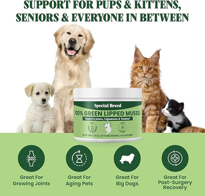 Special Breed Green Lipped Mussel Powder for Dogs &amp; Cats - 100% New Zealand Green Lipped Mussels - Natural Hip &amp; Joint Supplement for Joints, Tendons, Ligaments, Muscles - 200 Grams - 665 Servings