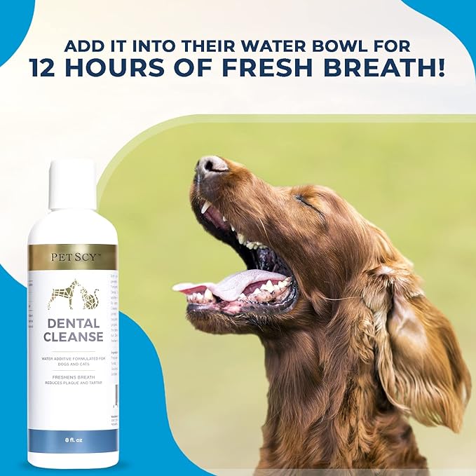 Petscy - Dental Cleanse, All-Natural Cat &amp; Dog Tartar Remover for Teeth, Cat &amp; Dog Water Additive for Dental Care, Suitable for All Ages, Breeds &amp; Sizes, 8 Oz