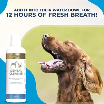 Petscy - Dental Cleanse, All-Natural Cat &amp; Dog Tartar Remover for Teeth, Cat &amp; Dog Water Additive for Dental Care, Suitable for All Ages, Breeds &amp; Sizes, 8 Oz