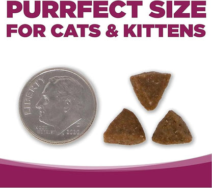 NutriSource Cat &amp; Kitten Food, Chicken and Rice, 4LB