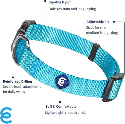 Blueberry Pet Essentials X-Small Dog Collar in Turquoise | Adjustable &amp; Eco-Friendly Durable Nylon Strap | Classic Collar for X-Small Dogs, Boy &amp; Girl Pets