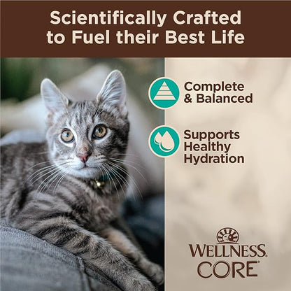 Wellness CORE Tiny Tasters Flaked Adult Wet Cat Food, Natural, Protein-Rich, Grain Free, 1.75-Ounce Pouch, 12 Pack, (Tuna &amp; Salmon)