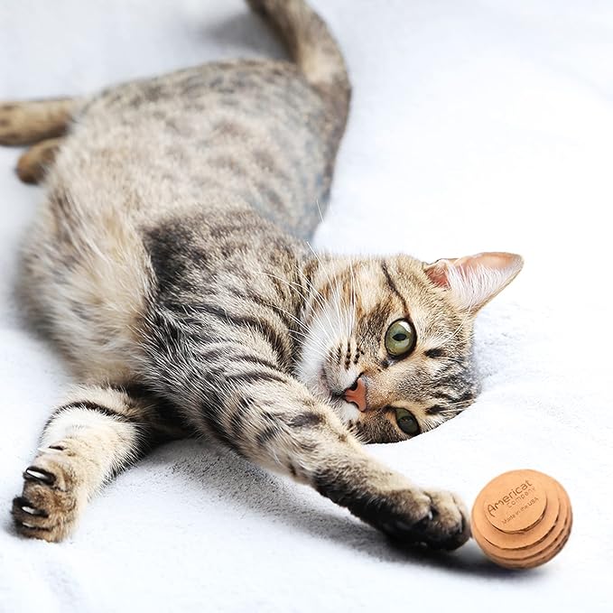 Cat Ball Toys by Americat – Made in USA – Safe Cardboard Cat Toys – for Interactive and Independent Play, Exercise &amp; Stress Relief for All Breeds &amp; Ages (Pack of 3 Round Balls)