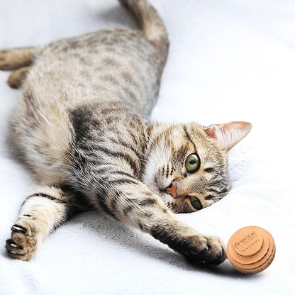 Cat Ball Toys by Americat – Made in USA – Safe Cardboard Cat Toys – for Interactive and Independent Play, Exercise &amp; Stress Relief for All Breeds &amp; Ages (Pack of 3 Round Balls)