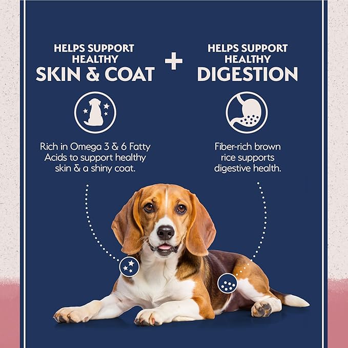 Natural Balance Limited Ingredient Adult Dry Dog Food with Healthy Grains, Salmon &amp; Brown Rice Recipe, 24 Pound (Pack of 1)