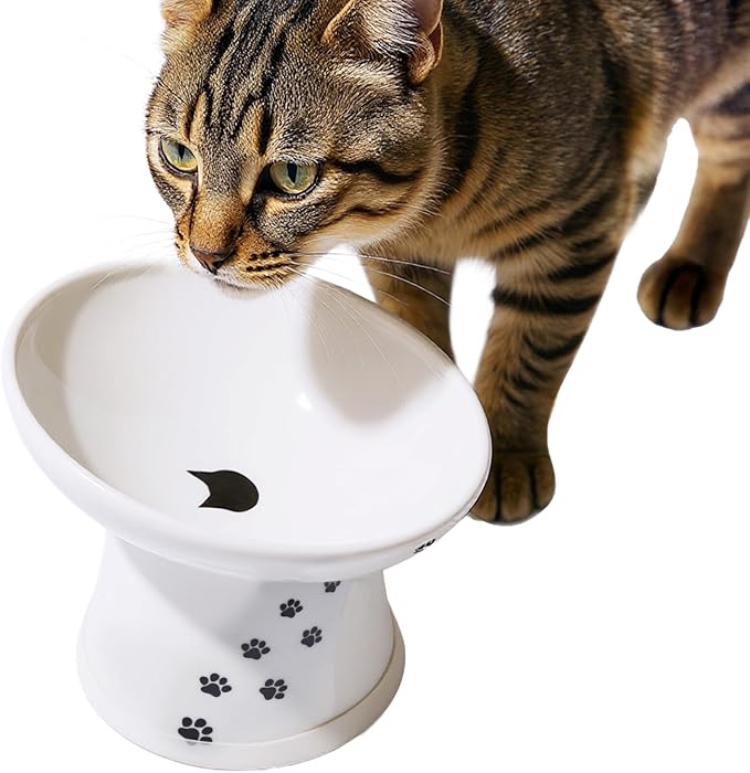 Necoichi Extra Wide Raised Cat Food Bowl, Elevated, Prevent Neck &amp; Whisker Fatigue, Dishwasher and Microwave Safe, No.1 Seller in Japan! (Cat, Extra Wide Tilted)